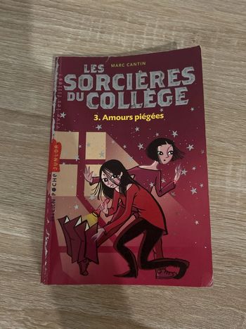 Les sorcières du collège