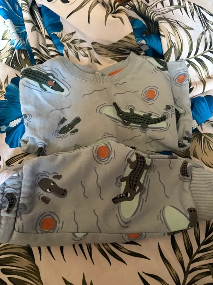 Ensemble crocodile