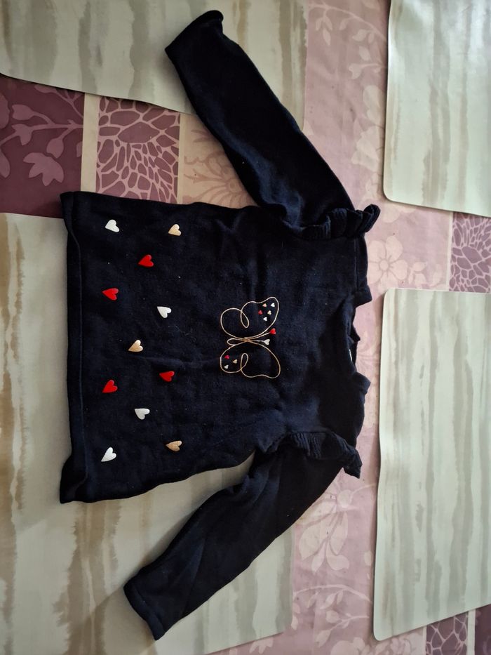 Pull papillon