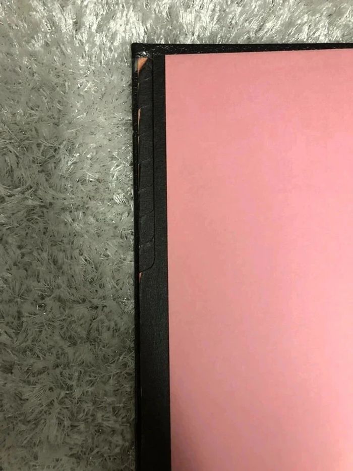 Trieur de documents noir et rose - photo numéro 4