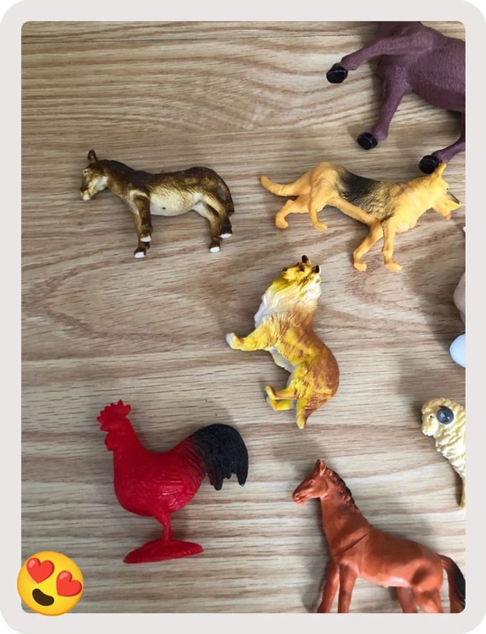 Animaux de la ferme - photo numéro 2