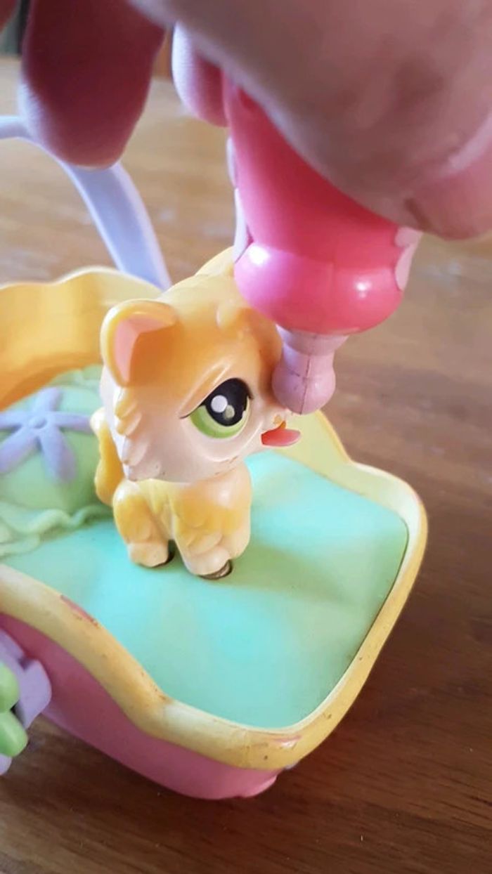 Chat petshop angora qui boit son lait - photo numéro 4