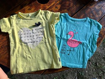 Lot 2 t-shirts manches courtes filles - 9 mois