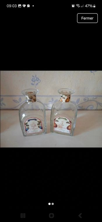 Lot de 2 carafe