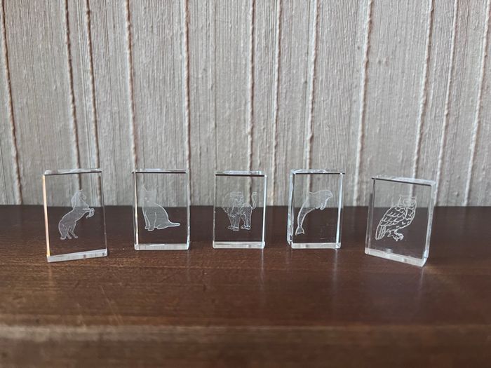 Décoration cubes en verre animaux - photo numéro 5