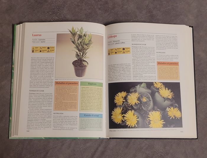 Atlas pratique des plantes d'intérieur - photo numéro 5
