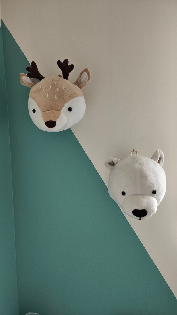Tête aniamux - photo numéro 2