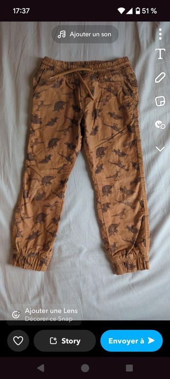 Pantalon dinosaure