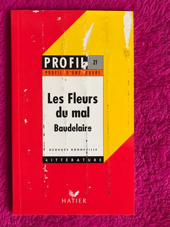 Profil - Baudelaire, Les Fleurs du mal