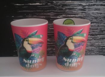 Verre plastique dure 