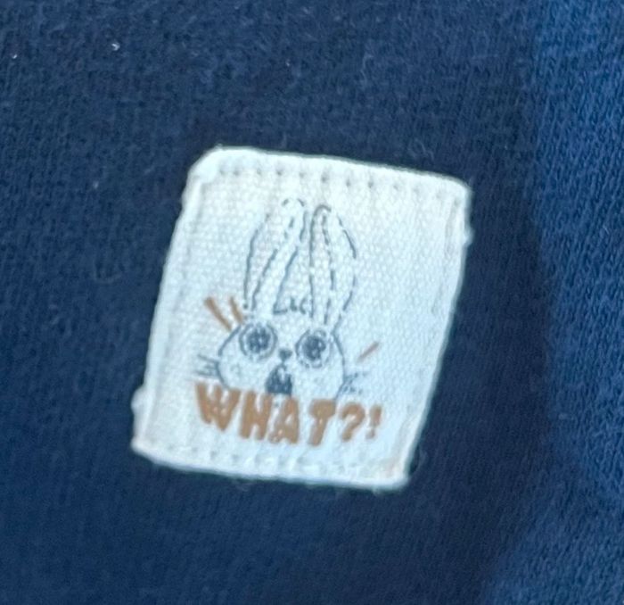 Gilet garçon 3 mois – Kiabi – Bleu marine zippé à capuche - photo numéro 3