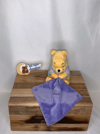 DY65 doudou winnie l'ouson 🐻