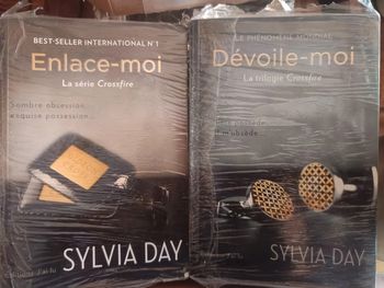 Lot 2 livres Sylvia Day