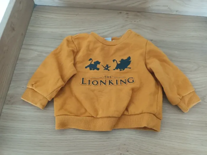 Pull bébé roi lion