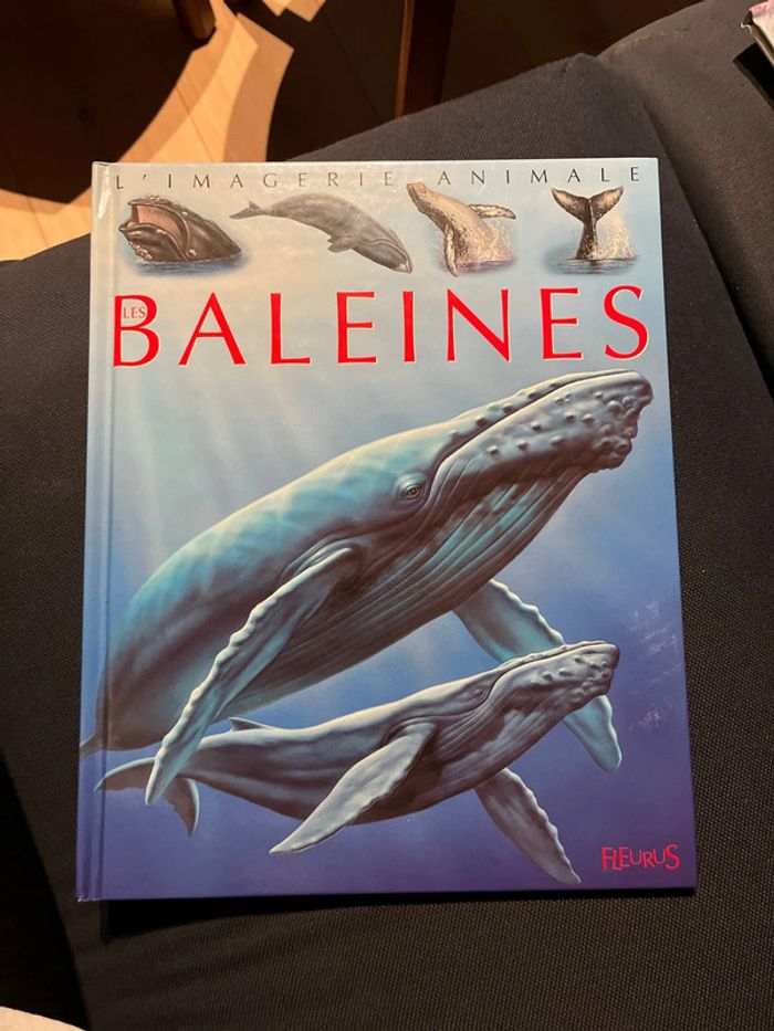 Livre pour enfants la grande imagerie fleurus les baleines - photo numéro 1