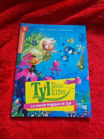 Livre tyl et les petits elfes