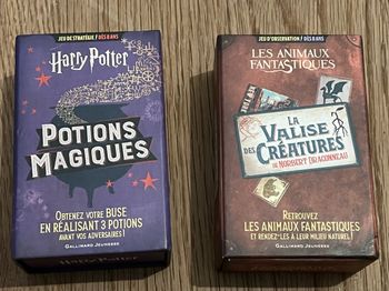Lot jeux Harry Potter et Animaux fantastiques
