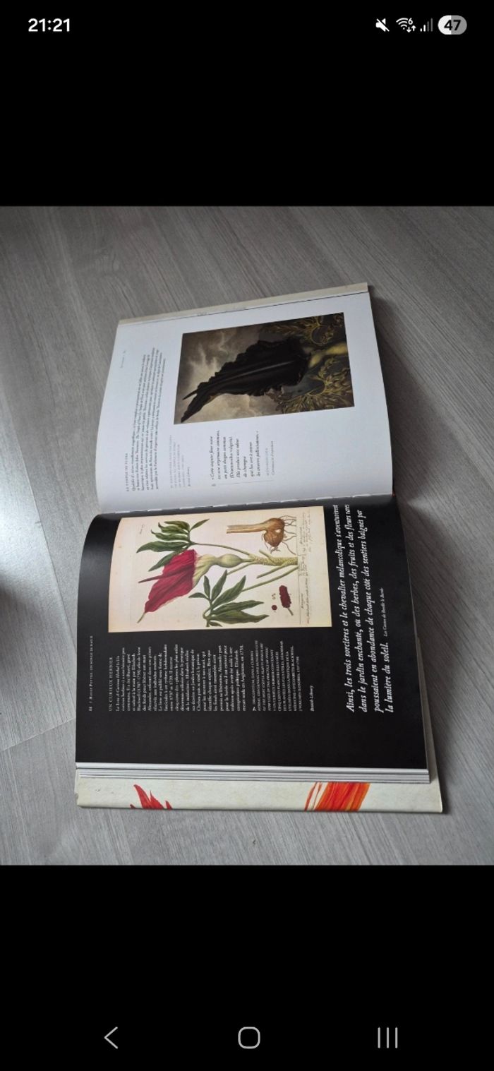 Harry potter un monde magie gallimard - photo numéro 3