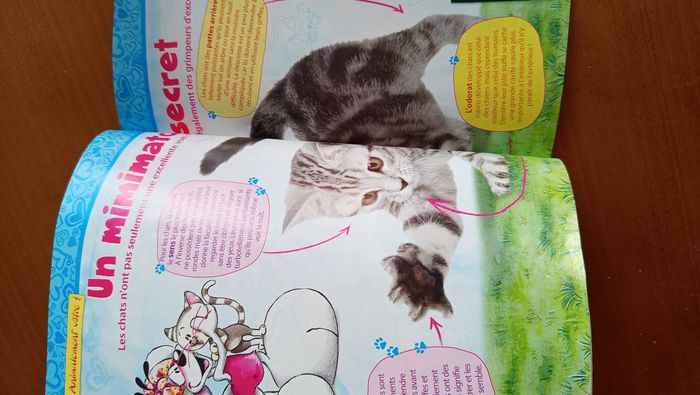 Diddl Mag 2011 - photo numéro 5