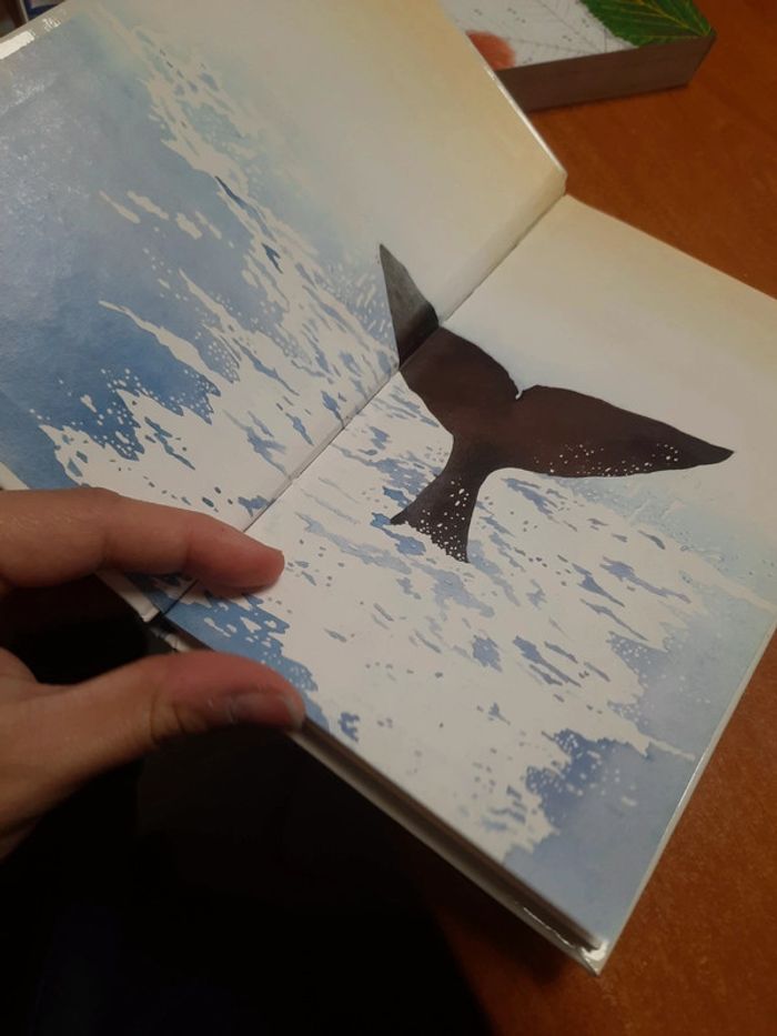 Livre découverte Benjamin - photo numéro 8