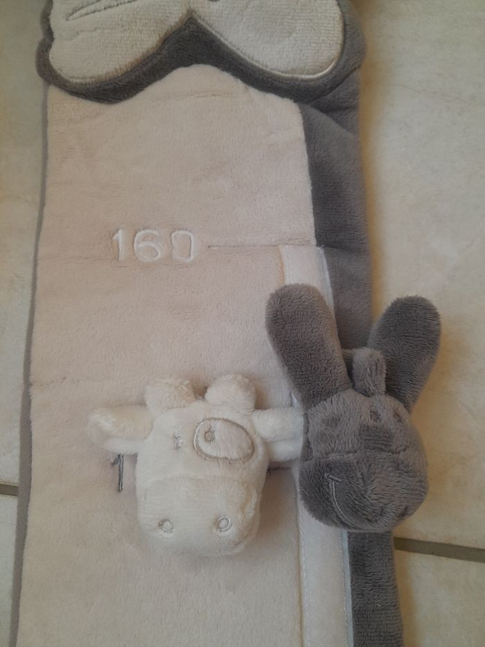 Toise murale - photo numéro 3