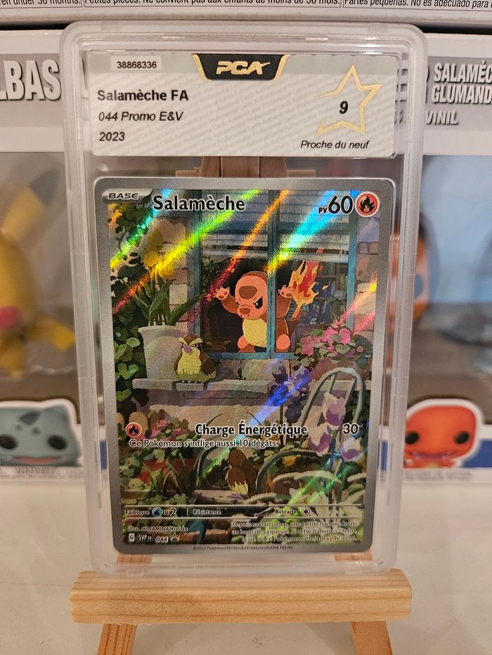 Salamèche promo etb PCA 9