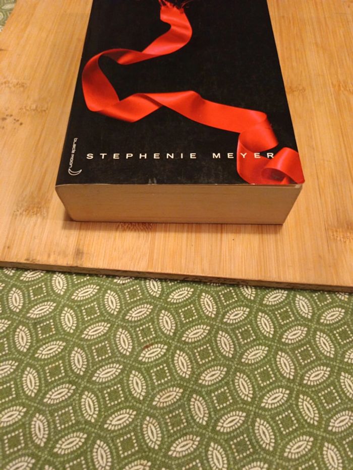 Livre Twilight chapitre 3 Hésitation - photo numéro 3