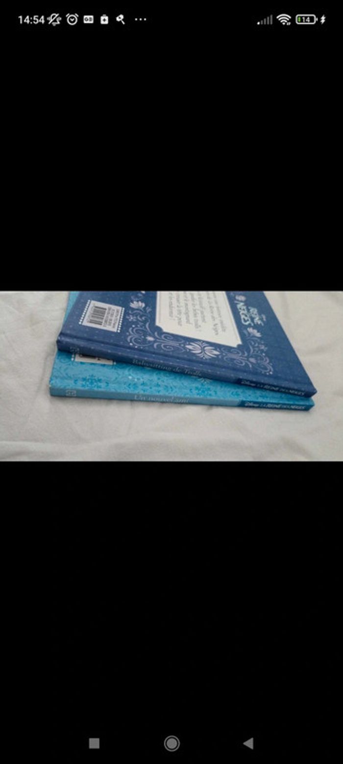 Livres reine des neiges - photo numéro 3