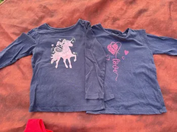 Lot 2 teeshirt manche longue