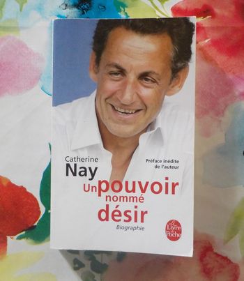 Un pouvoir nommé désir (Sarkozy) par C. Nay