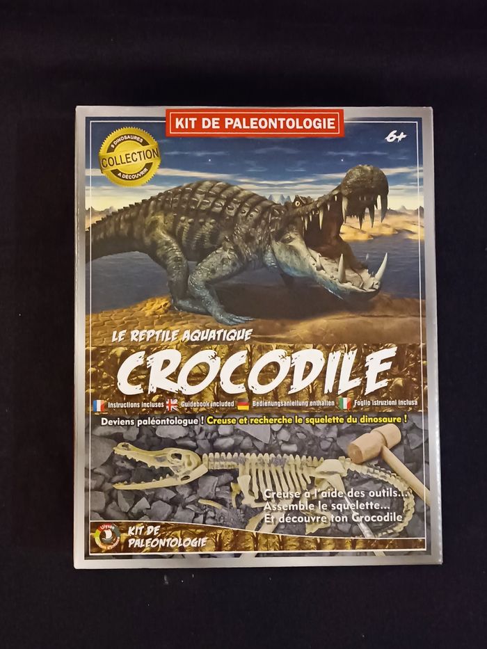 Kit paléontologie crocodile - photo numéro 2