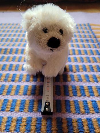 Peluche petit ours blanc