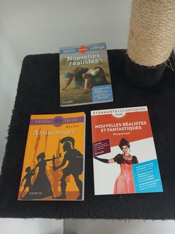 Lot de livres lycee/college