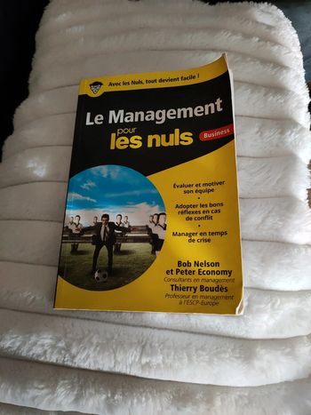 Livre le management pour les nuls