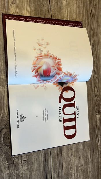 Grand quid illustré - 6