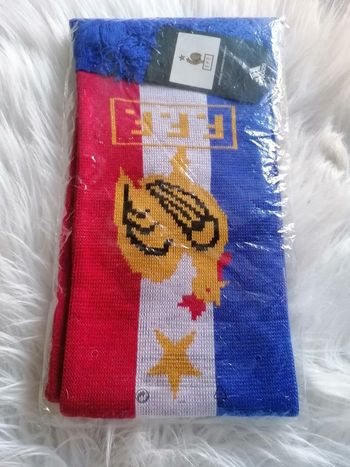 Écharpe neuve France fff