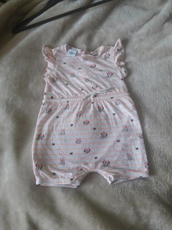 Grenouillieres minnie