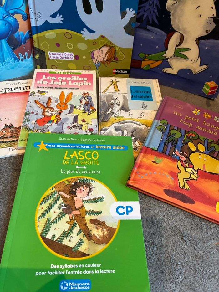 Lot livres jeunesse premières lectures - photo numéro 2