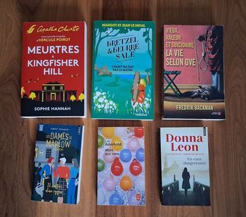 Lot 5 romans Cosy Mystery et policiers