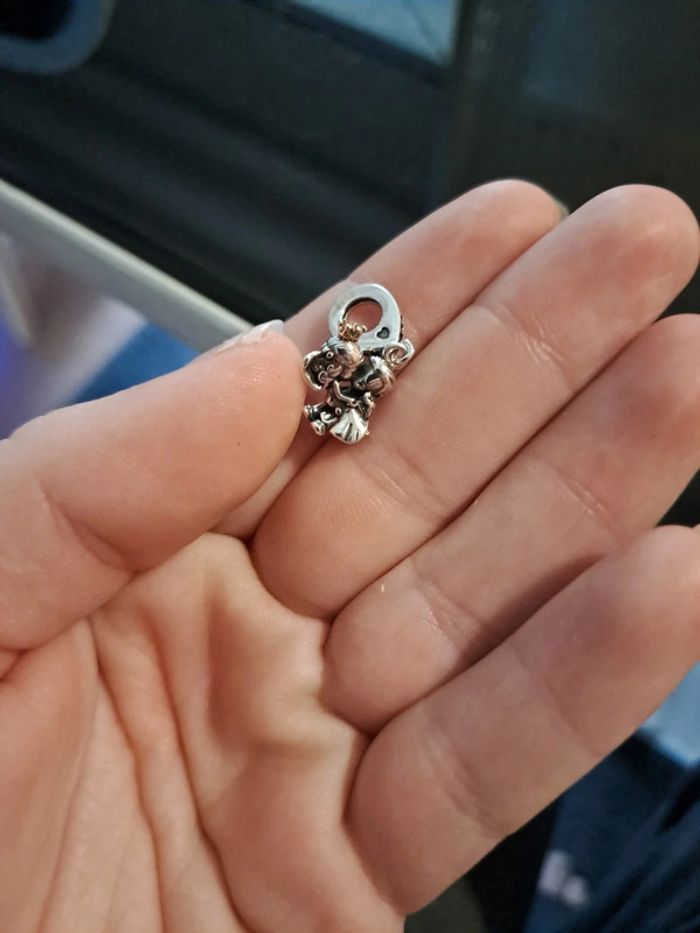 Accessoire - photo numéro 5