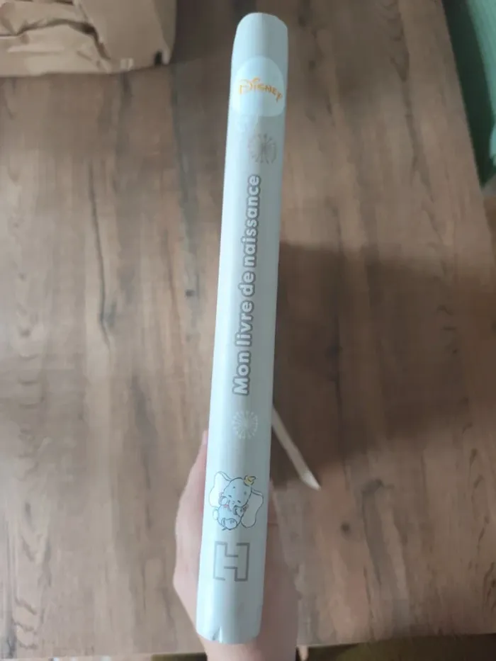 Mon livre de naissance Dumbo Disney - photo numéro 5