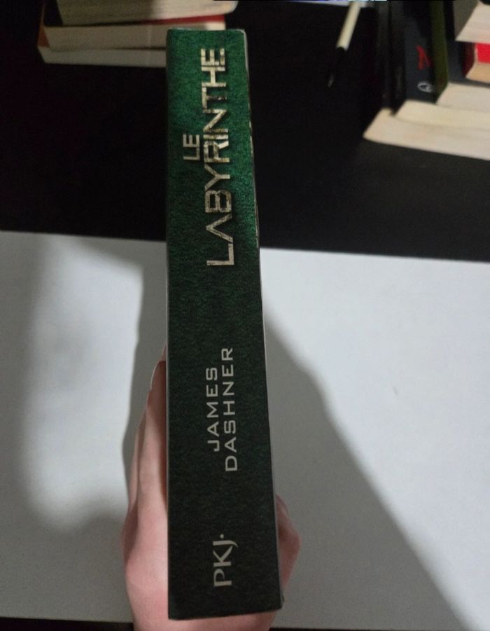 Le labyrinthe tome 1 - photo numéro 3