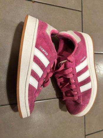Campus roses T36