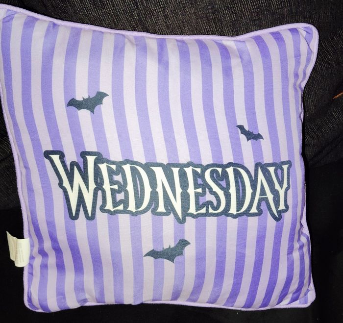 Coussin mercredi Addams oreiller collection wednesday - photo numéro 2