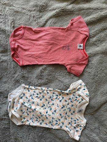 Bodies