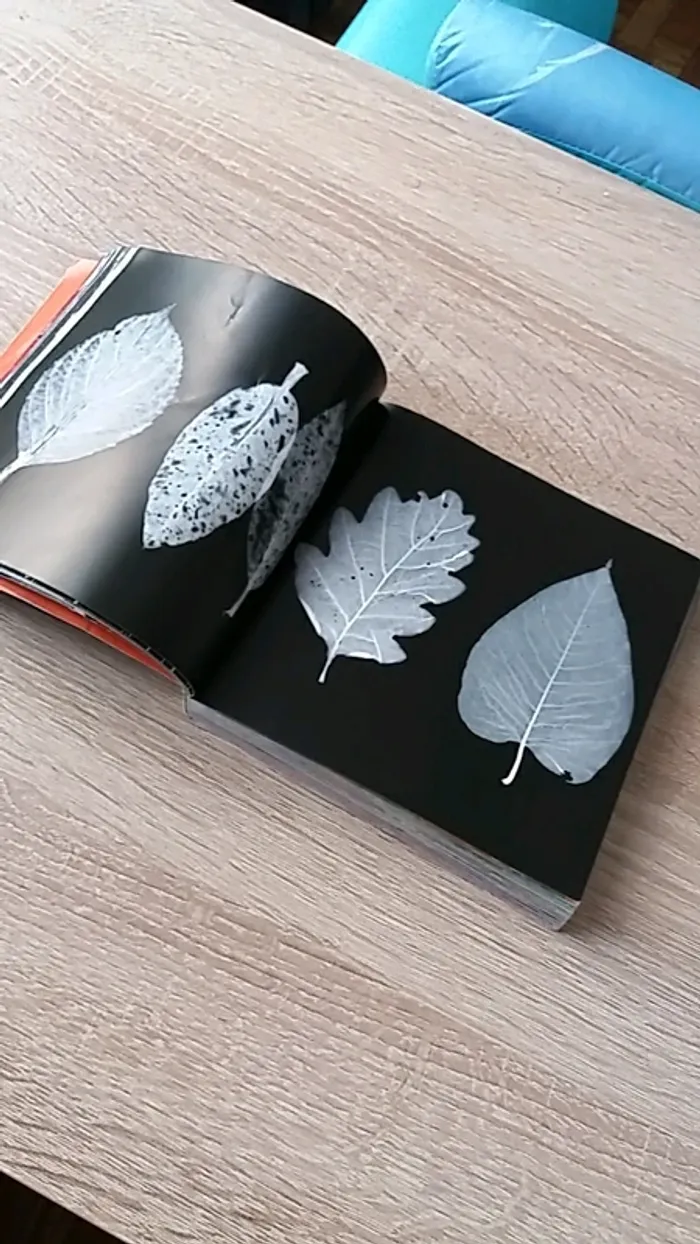Livre d'images sans texte " tout un monde " - photo numéro 3