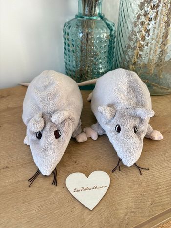 Rat gris 