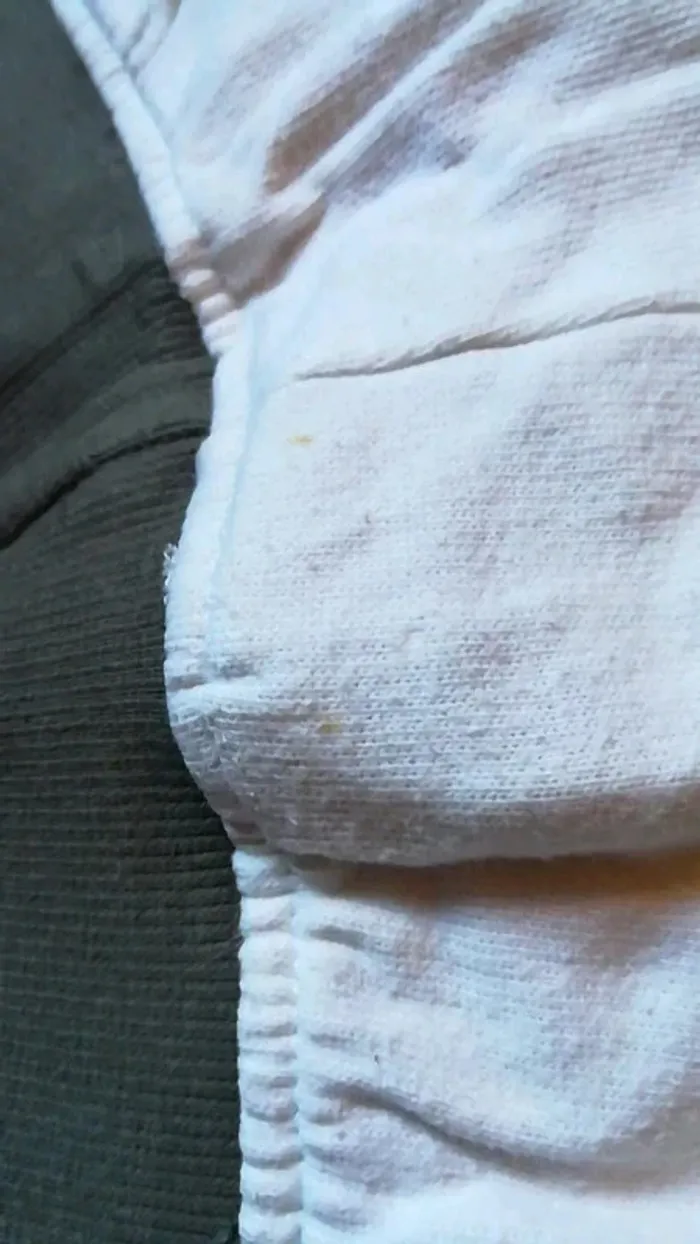 Short M - photo numéro 5
