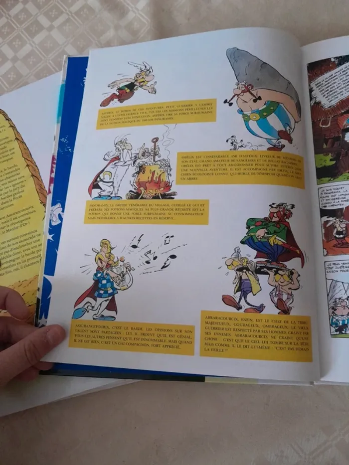 Asterix et les Goths - photo numéro 3