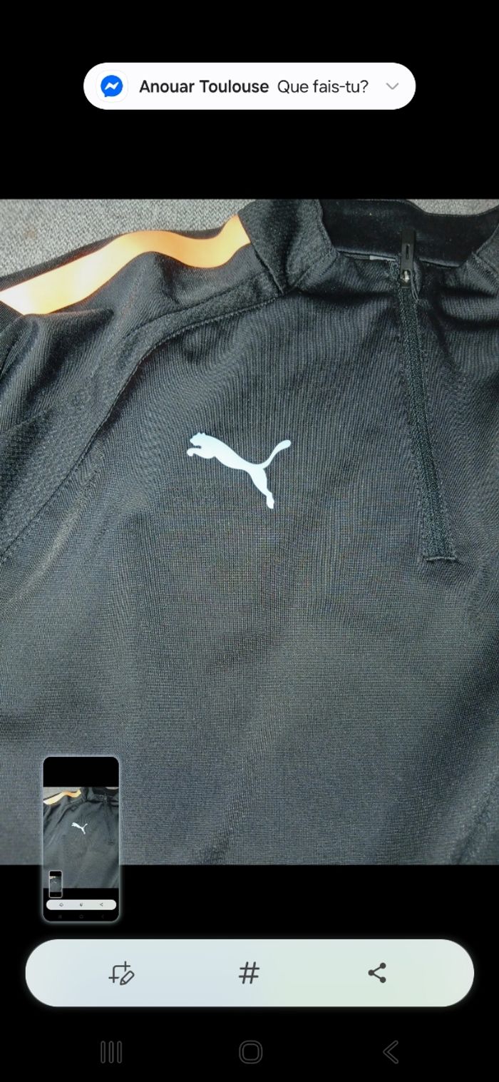 Sweet puma - photo numéro 8